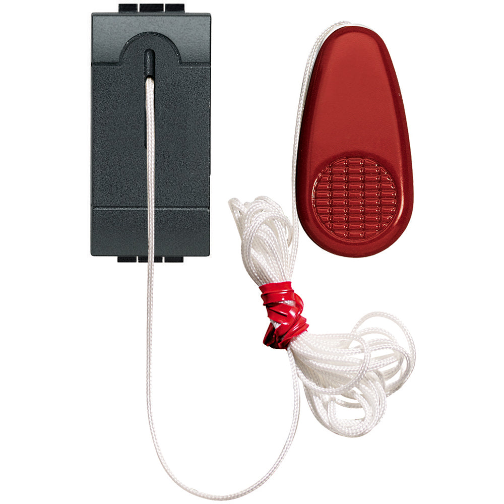 gid://shopify/Product/10833108402509_3