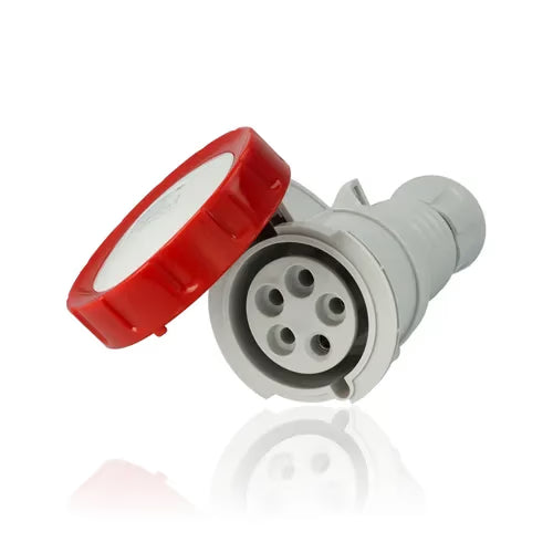 gid://shopify/Product/10833898111309_3