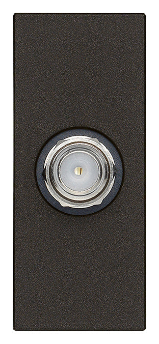 gid://shopify/Product/10830895874381_1