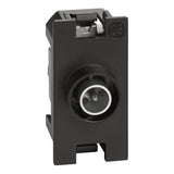 gid://shopify/Product/10833127833933_3