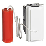 gid://shopify/Product/10833204937037_3