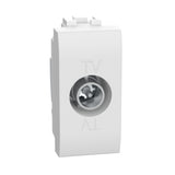 gid://shopify/Product/10833351344461_3
