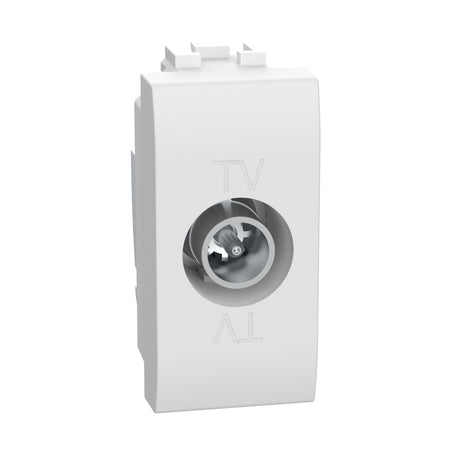 gid://shopify/Product/10833351344461_3