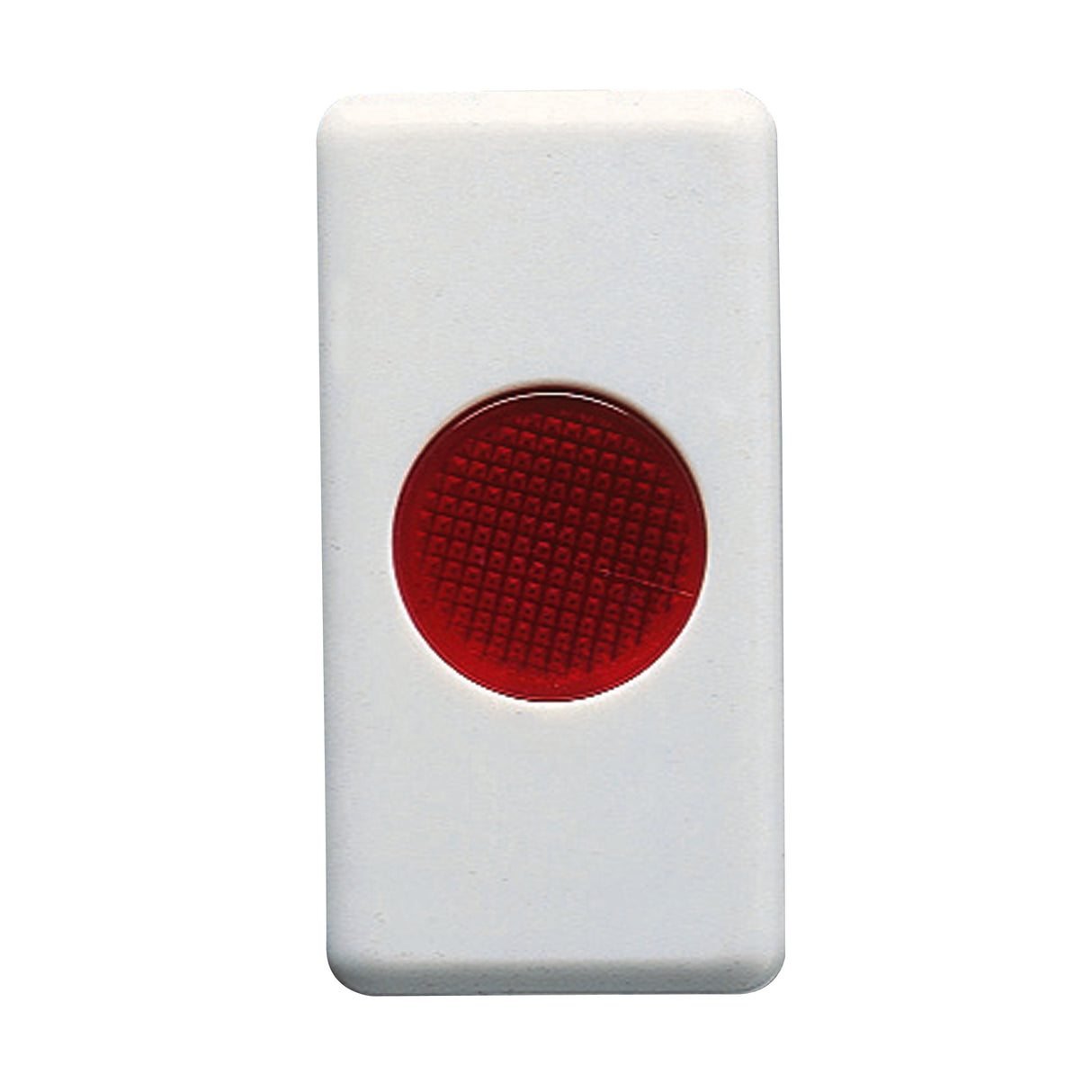 gid://shopify/Product/10833916657997_4