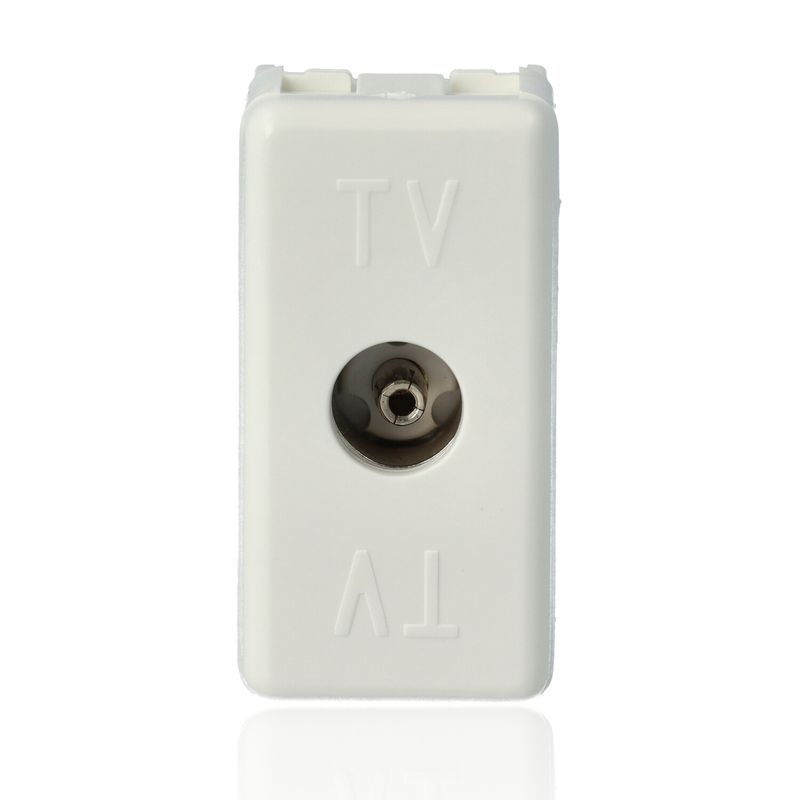 GEWISS GW20228 - Presa Coassiale Tv Resistive - Connettore Iec Femmina 9,5Mm - Diretta - 1 Modulo - System White