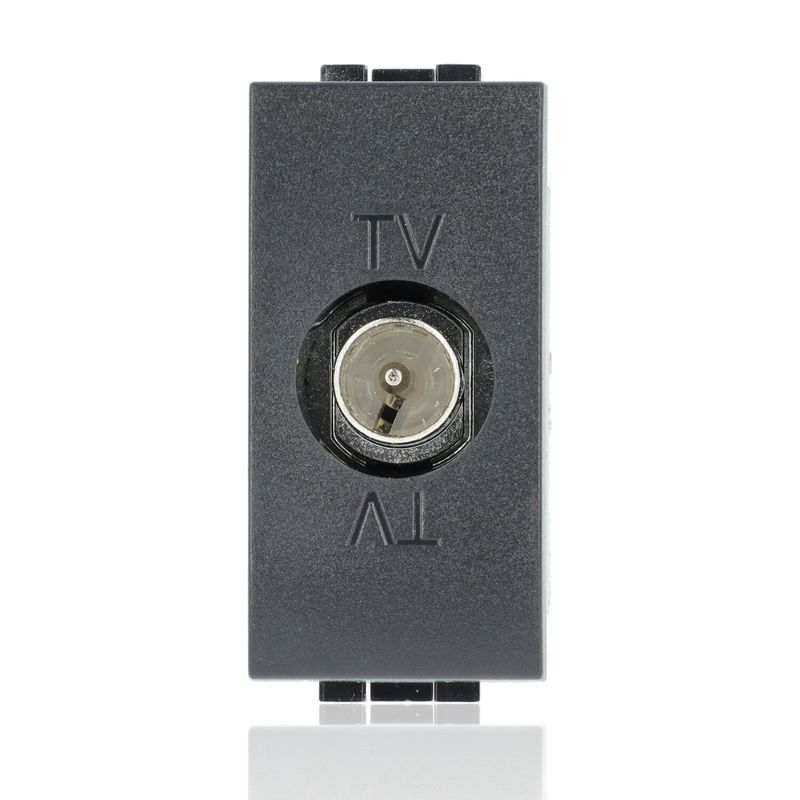 BTICINO L4202P - Presa tv passante maschio - Nero - LivingLight