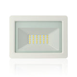Proiettore LED, 20W, 220Vac, Luce Naturale, Bianco