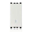 gid://shopify/Product/10830861926733_1
