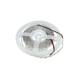 gid://shopify/Product/10833835393357_4