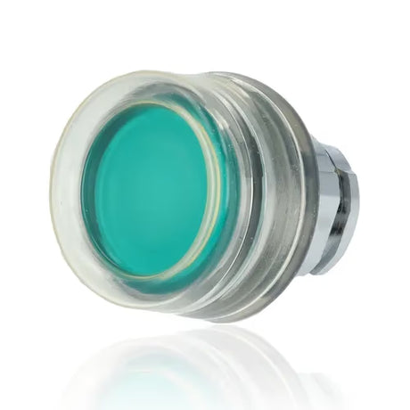 gid://shopify/Product/10833978589517_2