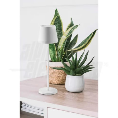 gid://shopify/Product/10833522590029_3