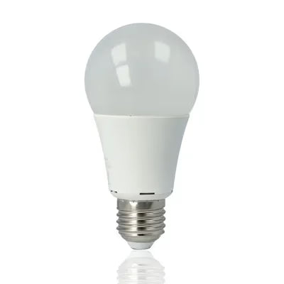 gid://shopify/Product/10833838342477_1