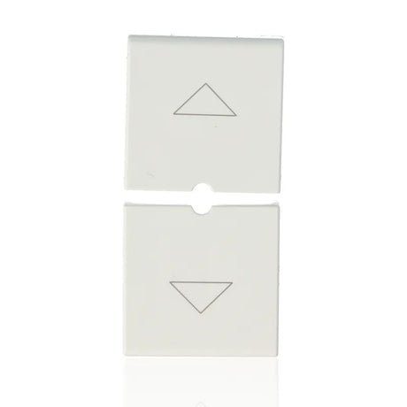 gid://shopify/Product/10830868840781_1