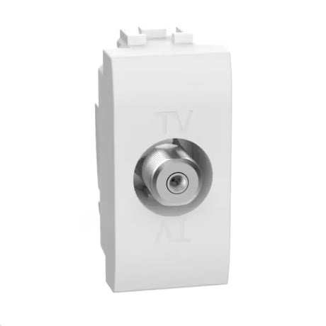 gid://shopify/Product/10833372938573_1