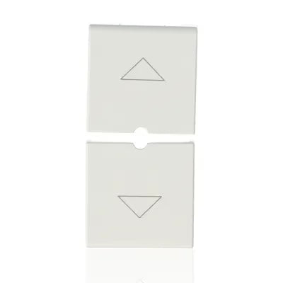 gid://shopify/Product/10830868840781_1