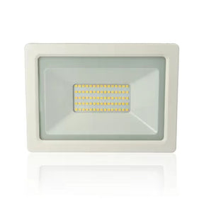 gid://shopify/Product/10833841553741_1