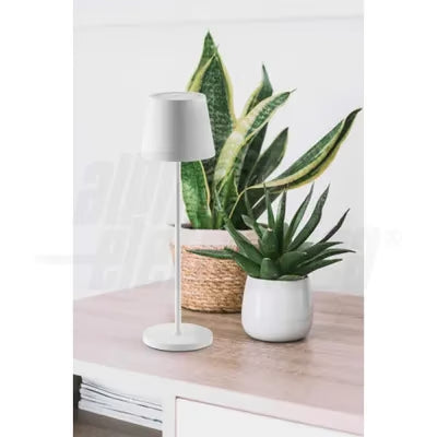 gid://shopify/Product/10833522590029_1