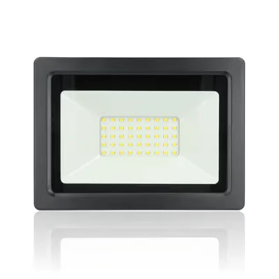 gid://shopify/Product/10833840734541_1