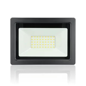 gid://shopify/Product/10833840734541_1