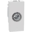 gid://shopify/Product/10833308057933_1