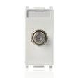 gid://shopify/Product/10830861730125_1