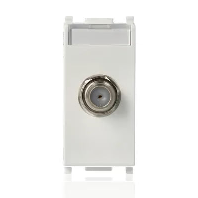 gid://shopify/Product/10830861730125_1