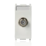 gid://shopify/Product/10830861730125_1