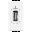 gid://shopify/Product/10833351835981_1
