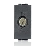 gid://shopify/Product/10833085989197_2