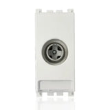 gid://shopify/Product/10830859927885_1