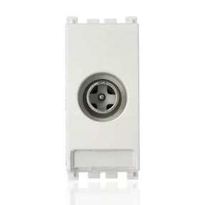 gid://shopify/Product/10830859927885_1