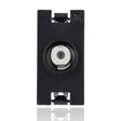 gid://shopify/Product/10833058038093_1