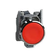 gid://shopify/Product/10834005950797_1