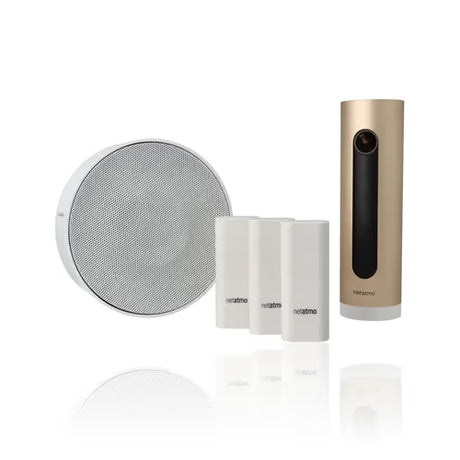 gid://shopify/Product/10833897095501_3