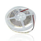 gid://shopify/Product/10833842962765_4