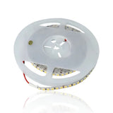 gid://shopify/Product/10833842962765_5