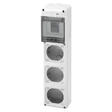 gid://shopify/Product/10833919967565_1