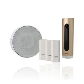 gid://shopify/Product/10833897095501_1